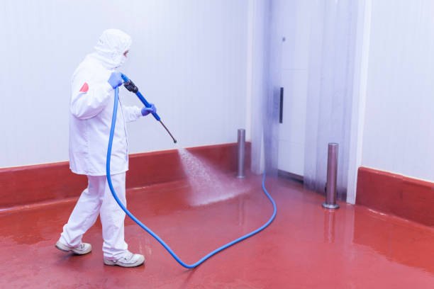 Paint Preparation in Glen Allen, VA